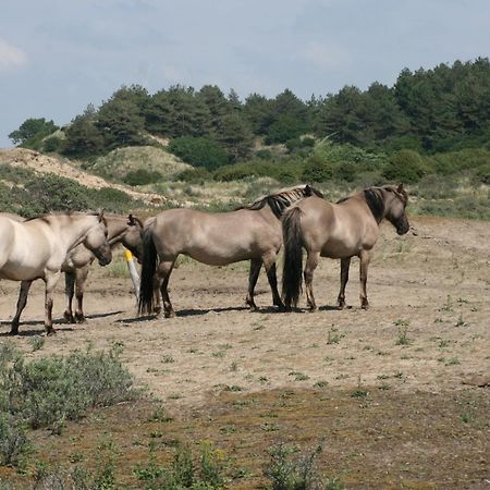 The Butterfly Luxe Appartement Met Private Parking Zandvoort Εξωτερικό φωτογραφία