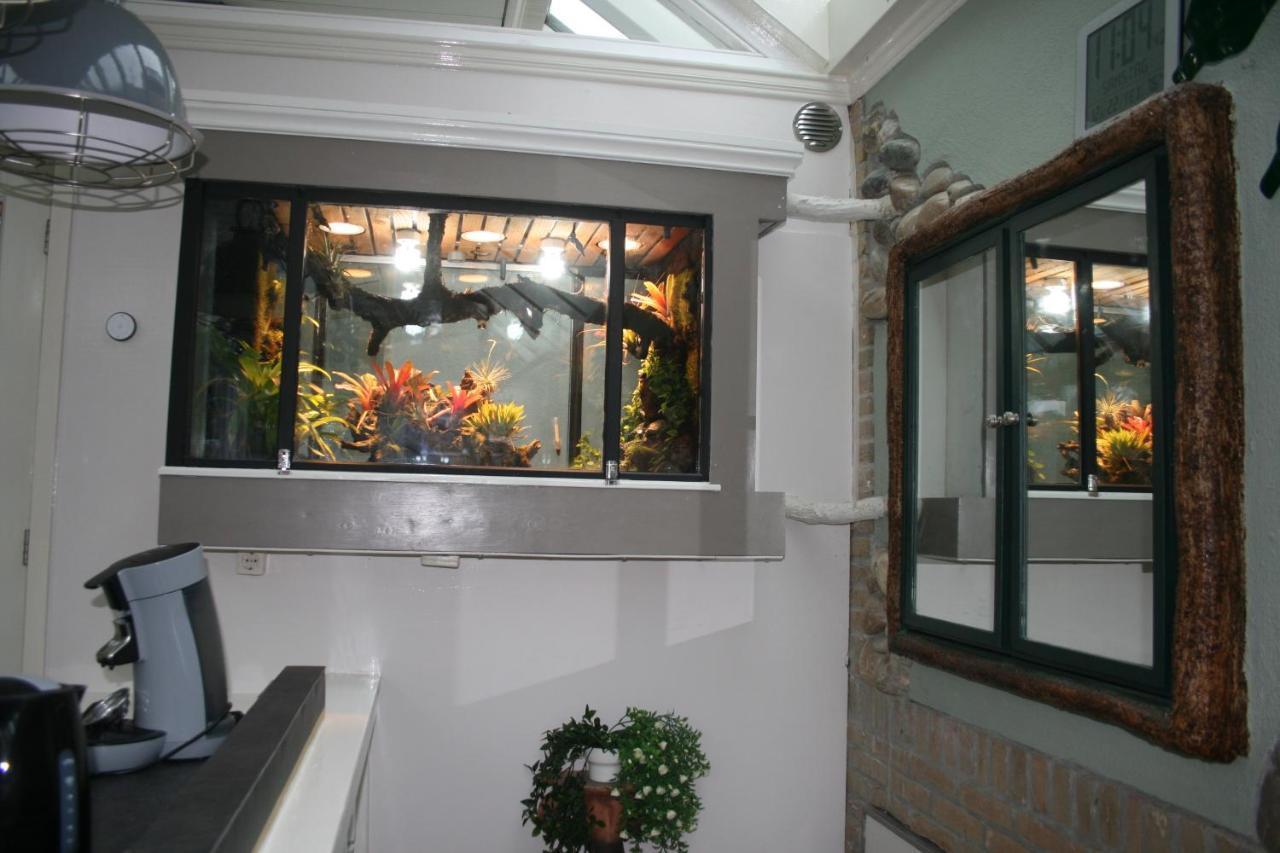The Butterfly Luxe Appartement Met Private Parking Zandvoort Εξωτερικό φωτογραφία